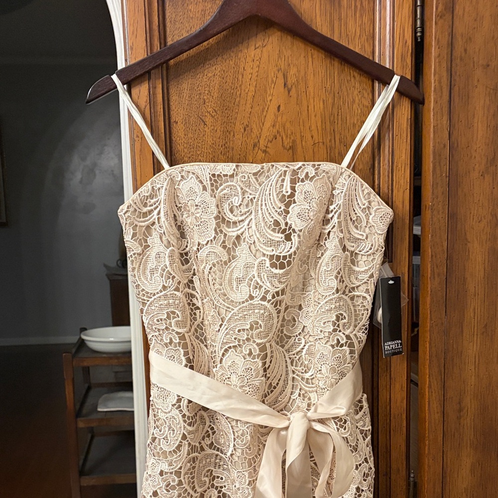 Adrianna Papell New with Tags Lace Beige Dress